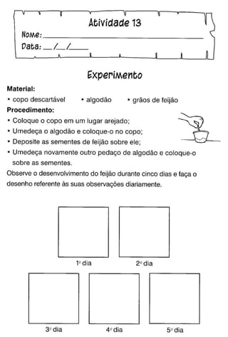 Oficina para casa 1º ano