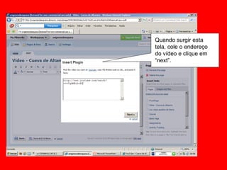 Quando surgir esta tela, cole o endereço do vídeo e clique em “next”. 