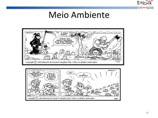 Meio Ambiente 