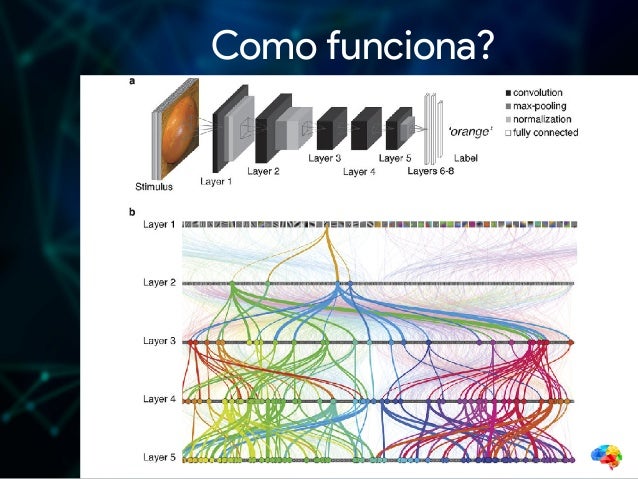 Classificando Imagens com Redes Neurais Convolucionais