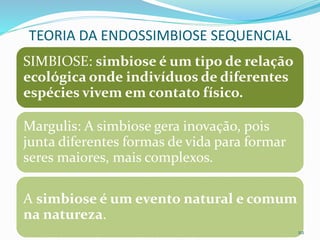 TEORIA DA ENDOSSIMBIOSE SEQUENCIAL
SIMBIOSE: simbiose é um tipo de relação
ecológica onde indivíduos de diferentes
espécies vivem em contato físico.
Margulis: A simbiose gera inovação, pois
junta diferentes formas de vida para formar
seres maiores, mais complexos.
A simbiose é um evento natural e comum
na natureza.
112
 