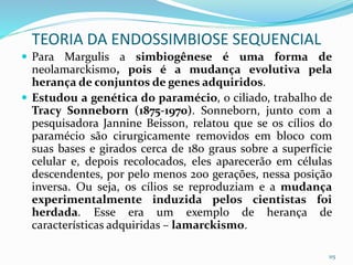  Para Margulis a simbiogênese é uma forma de
neolamarckismo, pois é a mudança evolutiva pela
herança de conjuntos de genes adquiridos.
 Estudou a genética do paramécio, o ciliado, trabalho de
Tracy Sonneborn (1875-1970). Sonneborn, junto com a
pesquisadora Jannine Beisson, relatou que se os cílios do
paramécio são cirurgicamente removidos em bloco com
suas bases e girados cerca de 180 graus sobre a superfície
celular e, depois recolocados, eles aparecerão em células
descendentes, por pelo menos 200 gerações, nessa posição
inversa. Ou seja, os cílios se reproduziam e a mudança
experimentalmente induzida pelos cientistas foi
herdada. Esse era um exemplo de herança de
características adquiridas – lamarckismo.
115
TEORIA DA ENDOSSIMBIOSE SEQUENCIAL
 