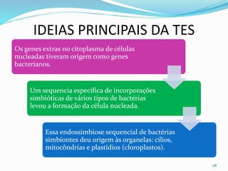 IDEIAS PRINCIPAIS DA TES
118
Os genes extras no citoplasma de células
nucleadas tiveram origem como genes
bacterianos.
Um sequencia específica de incorporações
simbióticas de vários tipos de bactérias
levou a formação da célula nucleada.
Essa endossimbiose sequencial de bactérias
simbiontes deu origem às organelas: cílios,
mitocôndrias e plastídios (cloroplastos).
 