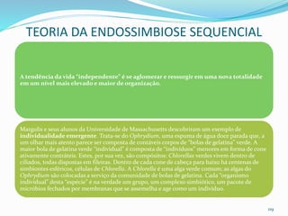 A tendência da vida “independente” é se aglomerar e ressurgir em uma nova totalidade
em um nível mais elevado e maior de organização.
Margulis e seus alunos da Universidade de Massachusetts descobriram um exemplo de
individualidade emergente. Trata-se do Ophrydium, uma espuma de água doce parada que, a
um olhar mais atento parece ser composta de contáveis corpos de “bolas de gelatina” verde. A
maior bola de gelatina verde “individual” é composta de “indivíduos” menores em forma de cone
ativamente contráteis. Estes, por sua vez, são compósitos: Chlorellas verdes vivem dentro de
ciliados, todas dispostas em fileiras. Dentro de cada cone de cabeça para baixo há centenas de
simbiontes esféricos, células de Chlorella. A Chlorella é uma alga verde comum; as algas do
Ophrydium são colocadas a serviço da comunidade de bolas de gelatina. Cada “organismo
individual” desta “espécie” é na verdade um grupo, um complexo simbiótico, um pacote de
micróbios fechados por membranas que se assemelha e age como um indivíduo.
119
TEORIA DA ENDOSSIMBIOSE SEQUENCIAL
 