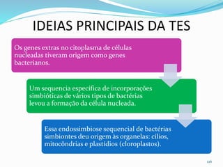 IDEIAS PRINCIPAIS DA TES
126
Os genes extras no citoplasma de células
nucleadas tiveram origem como genes
bacterianos.
Um sequencia específica de incorporações
simbióticas de vários tipos de bactérias
levou a formação da célula nucleada.
Essa endossimbiose sequencial de bactérias
simbiontes deu origem às organelas: cílios,
mitocôndrias e plastídios (cloroplastos).
 
