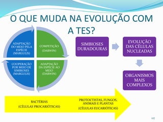 O QUE MUDA NA EVOLUÇÃO COM
A TES?
COMPETIÇÃO
(DARWIN)
ADAPTAÇÃO
DA ESPÉCIE AO
MEIO
(DARWIN)
COOPERAÇÃO
POR MEIO DE
SIMBIOSES
(MARGULIS)
ADAPTAÇÃO
DO MEIO PELA
ESPÉCIE
(MARGULIS)
127
PROTOCTISTAS, FUNGOS,
ANIMAIS E PLANTAS
(CÉLULAS EUCARIÓTICAS)
BACTÉRIAS
(CÉLULAS PROCARIÓTICAS)
SIMBIOSES
DURADOURAS
EVOLUÇÃO
DAS CÉLULAS
NUCLEADAS
ORGANISMOS
MAIS
COMPLEXOS
 