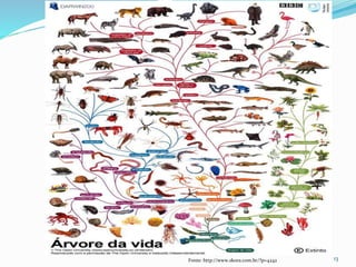 13Fonte: http://www.skora.com.br/?p=4242
 