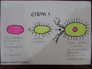 132
Imagem: Gracieli S. Henicka
 