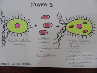 139
Imagem: Gracieli S. Henicka
 