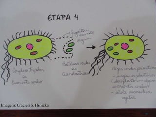 142
Imagem: Gracieli S. Henicka
 