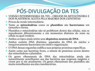 PÓS-DIVULGAÇÃO DA TES
 VERSÃO INTERMEDIÁRIA DA TES – ORIGEM DA MITOCÔNDRIA E
DOS PLASTÍDIOS: ACEITA PELA MAIORIA DOS CIENTISTAS
 Provas da versão intermediária:
 Tanto as mitocôndrias como os plastídios são bacterianos em
tamanho e forma.
 Plastídios e mitocôndrias não só proliferam dentro das células, mas se
reproduzem diferentemente e em momentos distintos do resto na
célula na qual residem.
 Ambos os tipos ainda retêm seus depósitos neutros de DNA.
 Ambos contém DNA distintos, separados do DNA do núcleo e
inequivocamente bacteriano em estilo e organização.
 O DNA dessas organelas codifica suas próprias proteínas específicas.
 Assim como nas bactérias livres, a síntese de proteínas ocorre dentro
das mitocôndrias e plastídios.
 Os genes ribossomais de DNA das mitocôndrias ainda são
notavelmente semelhantes aos das bactérias que respiram oxigênio e
vivem por si sós atualmente. Os genes ribossomais dos plastídios são
muito semelhantes aos das cianobactérias.
143
 