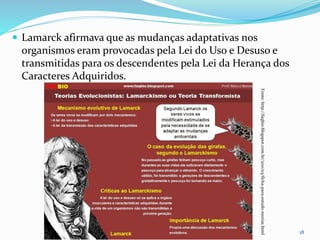  Lamarck afirmava que as mudanças adaptativas nos
organismos eram provocadas pela Lei do Uso e Desuso e
transmitidas para os descendentes pela Lei da Herança dos
Caracteres Adquiridos.
18
Fonte:http://faqbio.blogspot.com.br/2011/03/ficha-para-estudo-teorias.html
 