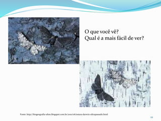 22
Fonte: http://biogeografia-ufsm.blogspot.com.br/2010/06/estara-darwin-ultrapassado.html
O que você vê?
Qual é a mais fácil de ver?
 