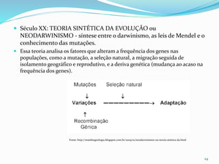  Século XX: TEORIA SINTÉTICA DA EVOLUÇÃO ou
NEODARWINISMO - síntese entre o darwinismo, as leis de Mendel e o
conhecimento das mutações.
 Essa teoria analisa os fatores que alteram a frequência dos genes nas
populações, como a mutação, a seleção natural, a migração seguida de
isolamento geográfico e reprodutivo, e a deriva genética (mudança ao acaso na
frequência dos genes).
24
Fonte: http://maisbiogeologia.blogspot.com.br/2009/01/neodarwinismo-ou-teoria-sinttica-da.html
 