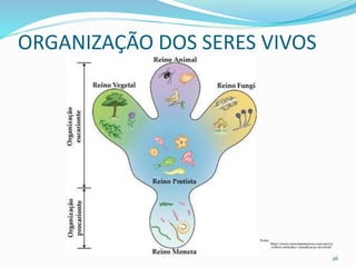 ORGANIZAÇÃO DOS SERES VIVOS
Fonte:
http://www.cienciasnatureza.com/2012/11
/robert-whittaker-classificacao-dos.html
26
 