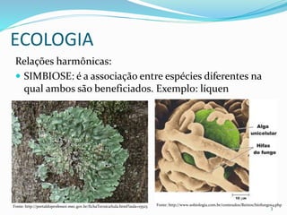 ECOLOGIA
Relações harmônicas:
 SIMBIOSE: é a associação entre espécies diferentes na
qual ambos são beneficiados. Exemplo: líquen
3Fonte: http://portaldoprofessor.mec.gov.br/fichaTecnicaAula.html?aula=15525 Fonte: http://www.sobiologia.com.br/conteudos/Reinos/biofungos4.php
 