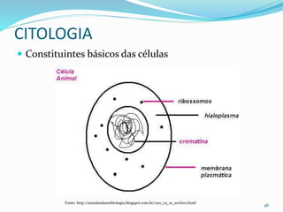 CITOLOGIA
 Constituintes básicos das células
46
Fonte: http://estudandantebiologia.blogspot.com.br/2011_03_01_archive.html
 