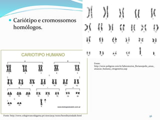  Cariótipo e cromossomos
homólogos.
56Fonte: http://www.colegiovascodagama.pt/ciencias3c/nono/hereditariedade.html
Fonte:
http://www.poligene.com.br/laboratorios_florianopolis_areas_
atuacao_humana_citogenetica.asp
 