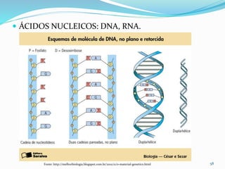  ÁCIDOS NUCLEICOS: DNA, RNA.
58Fonte: http://melhorbiologia.blogspot.com.br/2012/11/o-material-genetico.html
 