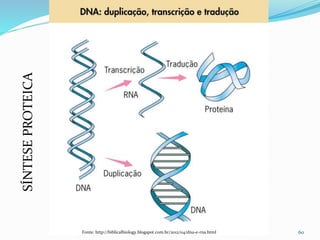 60Fonte: http://biblicalbiology.blogspot.com.br/2012/04/dna-e-rna.html
SÍNTESEPROTEICA
 
