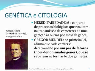 GENÉTICA e CITOLOGIA
 HEREDITARIEDADE: é o conjunto
de processos biológicos que resultam
na transmissão de caracteres de uma
geração às outras por meio de genes.
 GREGOR MENDEL: na primeira lei,
afirma que cada caráter é
determinado por um par de fatores
(hoje denominados genes), que se
separam na formação dos gametas.
62Fonte: http://oldlibrarysite.villanova.edu/services/exhibits/gregor_johann_mendel.htm
Gregor Johann
Mendel (1822-1884),
monge austríaco.
 
