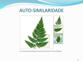 AUTO-SIMILARIDADE
95
Fonte: http://bioimersao.blog.terra.com.br/2008/12/29/fractais-e-formas-biologicas/
 