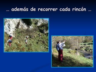 …  además de recorrer cada rincón … 