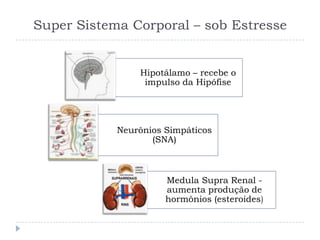 Super Sistema Corporal – sob Estresse
Hipotálamo – recebe o
impulso da Hipófise
Neurônios Simpáticos
(SNA)
Medula Supra Renal -
aumenta produção de
hormônios (esteroides)
 