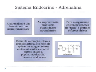 Sistema Endócrino - Adrenalina
A adrenalina é um
hormônio e um
neurotransmissor
As suprarrenais
produzem
quantidades
abundantes
Para o organismo
enfrentar reações
de “fuga” e grandes
esforços físicos
Estimula o coração, eleva a
pressão arterial e o nível de
açúcar no sangue, relaxa
certos músculos e contrai
outros, dilata a
pupila, taquicardia,
tremores, sudoreses
 