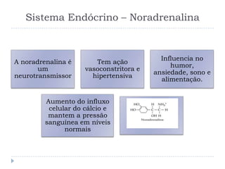 Sistema Endócrino – Noradrenalina
A noradrenalina é
um
neurotransmissor
Tem ação
vasoconstritora e
hipertensiva
Influencia no
humor,
ansiedade, sono e
alimentação.
Aumento do influxo
celular do cálcio e
mantem a pressão
sanguínea em níveis
normais
 