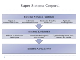 Super Sistema Corporal
Sistema Circulatório
Sistema Endócrino
Alteram as atividades
fisiológicas
Moléculas Mensageiras
(hormônios)
Agem em segundos, dias,
horas e até meses
Sistema Nervoso Periférico
Regula a
homeostase no SNA
Moléculas
Neurotransmissoras
Excitação de outras
moléculas
Agem em
milissegundos
 