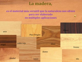 La madera,
es el material más versátil que la naturaleza nos ofrece
para ser elaborado
en múltiples aplicaciones
fresno
arce
roble rojo
nogal
tiloabedul
olmo
sauce
álamo
ébano
Pino Oregón
 
