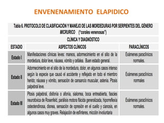 ENVENENAMIENTO	
  	
  ELAPIDICO	
  
 