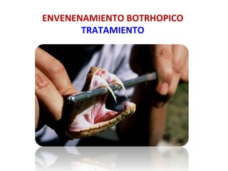 ENVENENAMIENTO	
  BOTRHOPICO	
  
TRATAMIENTO	
  
 