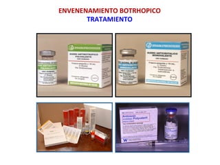 ENVENENAMIENTO	
  BOTRHOPICO	
  
TRATAMIENTO	
  
 