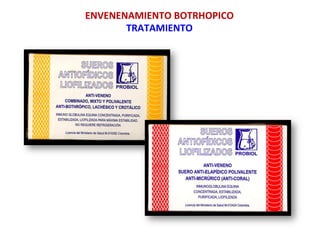 ENVENENAMIENTO	
  BOTRHOPICO	
  
TRATAMIENTO	
  
 