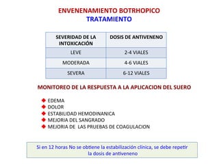 SEVERIDAD	
  DE	
  LA	
  
INTOXICACIÓN	
  
DOSIS	
  DE	
  ANTIVENENO	
  
LEVE	
   2-­‐4	
  VIALES	
  
MODERADA	
   4-­‐6	
  VIALES	
  
SEVERA	
   6-­‐12	
  VIALES	
  
MONITOREO	
  DE	
  LA	
  RESPUESTA	
  A	
  LA	
  APLICACION	
  DEL	
  SUERO	
  
u EDEMA	
  
u DOLOR	
  
u ESTABILIDAD	
  HEMODINANICA	
  
u MEJORIA	
  DEL	
  SANGRADO	
  
u MEJORIA	
  DE	
  	
  LAS	
  PRUEBAS	
  DE	
  COAGULACION	
  
Si	
  en	
  12	
  horas	
  No	
  se	
  obSene	
  la	
  estabilización	
  clínica,	
  se	
  debe	
  repeSr	
  
	
  la	
  dosis	
  de	
  anSveneno	
  	
  	
  
ENVENENAMIENTO	
  BOTRHOPICO	
  
TRATAMIENTO	
  
 
