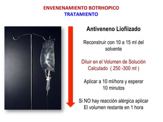 Antiveneno Liofiizado
Reconstruir con 10 a 15 ml del
solvente
Diluir en el Volumen de Solución
Calculado ( 250 -300 ml )
Aplicar a 10 ml/hora y esperar
10 minutos
Si NO hay reacción alérgica aplicar
El volumen restante en 1 hora
ENVENENAMIENTO	
  BOTRHOPICO	
  
TRATAMIENTO	
  
 