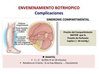 ENVENENAMIENTO	
  BOTRHOPICO	
  
Complicaciones	
  
SINDROME	
  COMPARTIMENTAL	
  
Presión	
  del	
  Comparfmiento	
  
MAYOR	
  	
  que	
  la	
  	
  
Presión	
  de	
  Perfusión	
  	
  
Capilar	
  (	
  >	
  30	
  mmHg	
  )	
  
	
  
u MANITOL	
  
§  1	
  –	
  2	
  	
  	
  	
  Gr/Kilo	
  IV	
  en	
  30	
  minutos	
  
§  Revalora	
  en	
  4	
  horas	
  :	
  Si	
  no	
  hay	
  Mejoría	
  …..Fasciotomía	
  
	
  	
  	
  
 