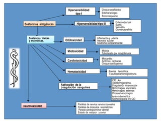Hipersensibilidad
tipo I
Choque anafiláctico
Edema laríngeo
Broncoespasmo
Hipersensiblidad tipo III
Enfermedad del
Suero.
Vasculitis
Glomerulonefritis
Sustancias tóxicas
y enzimáticas. Citotoxicidad
Inflamación y edema
Necrosis tubular
Síndrome compartimental
Miotoxicidad Miólisis
Tubulopatía por mioglobinuria
Cardiotoxicidad
Miocarditis
Arritmias cardiacas
Choque cardiogénico
Hematoxicidad Anemia hemolítica
T ubulopatía hemoglobinuria
Activación de la
coagulación sanguínea
CID Like
Desfibrinogenemia.
Coagulación intravascular
Hemorragias viscerales
Hemorragias externas
Choque hemorrágico
Anemia hemolítica
Glomerulopatía pro CID
neurotoxicidad
Parálisis de nervios nervios craneales
Parálisis de músculos respiratorios
Parada cardiopulmonar central
Estado de estupor y coma
Sustancias antigénicas
 