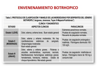 ENVENENAMIENTO	
  BOTRHOPICO	
  
 