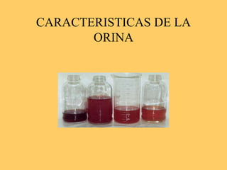 CARACTERISTICAS DE LA
ORINA
 