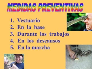 1. Vestuario
2. En la base
3. Durante los trabajos
4. En los descansos
5. En la marcha
 