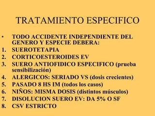 TRATAMIENTO ESPECIFICO
• TODO ACCIDENTE INDEPENDIENTE DEL
GENERO Y ESPECIE DEBERA:
1. SUEROTETAPIA
2. CORTICOESTEROIDES EV
3. SUERO ANTIOFIDICO ESPECIFICO (prueba
sensibilización)
4. ALERGICOS: SERIADO VS (dosis crecientes)
5. PASADO 8 HS IM (todos los casos)
6. NIÑOS: MISMA DOSIS (distintos músculos)
7. DISOLUCION SUERO EV: DA 5% O SF
8. CSV ESTRICTO
 