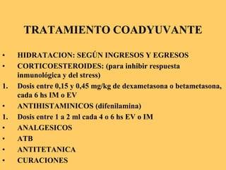 TRATAMIENTO COADYUVANTE
• HIDRATACION: SEGÚN INGRESOS Y EGRESOS
• CORTICOESTEROIDES: (para inhibir respuesta
inmunológica y del stress)
1. Dosis entre 0,15 y 0,45 mg/kg de dexametasona o betametasona,
cada 6 hs IM o EV
• ANTIHISTAMINICOS (difenilamina)
1. Dosis entre 1 a 2 ml cada 4 o 6 hs EV o IM
• ANALGESICOS
• ATB
• ANTITETANICA
• CURACIONES
 