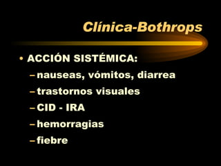 Clínica-Bothrops ACCIÓN SISTÉMICA: nauseas, vómitos, diarrea trastornos visuales CID - IRA hemorragias fiebre 