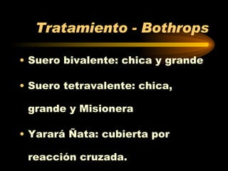 Tratamiento - Bothrops Suero bivalente: chica y grande Suero tetravalente: chica, grande y Misionera Yarará Ñata: cubierta por reacción cruzada. 