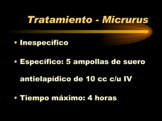 Tratamiento - Micrurus Inespecífico Específico: 5 ampollas de suero antielapídico de 10 cc c/u IV  Tiempo máximo: 4 horas 