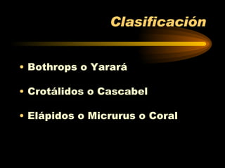 Clasificación Bothrops o Yarará Crotálidos o Cascabel Elápidos o Micrurus o Coral 