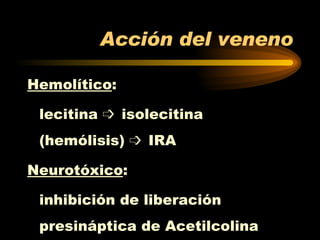 Acción del veneno Hemolítico :  lecitina    isolecitina (hemólisis)    IRA Neurotóxico :  inhibición de liberación presináptica de Acetilcolina 